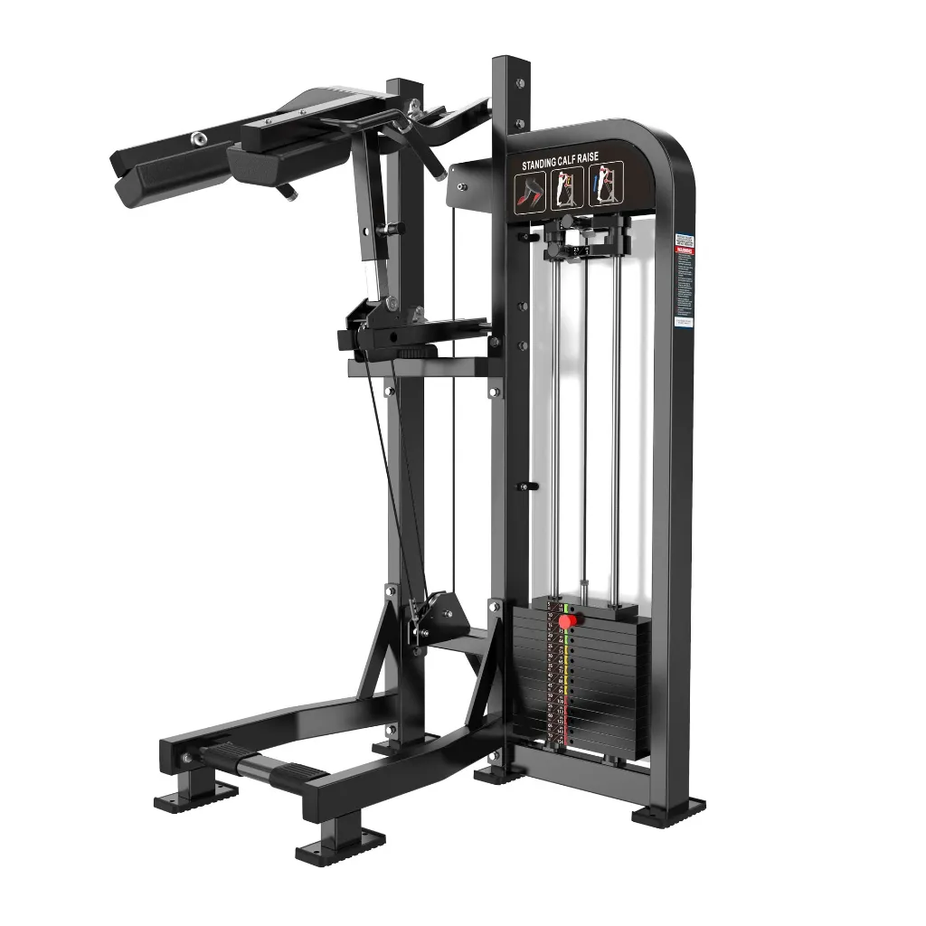 HS18 Standing Calf HD.webp