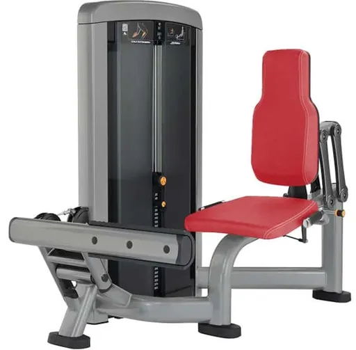 Life Fitness Insignia Calf Extension