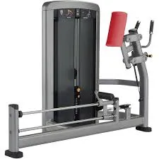 Life Fitness Insignia Series Glute