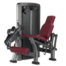 Life Fitness Insignia Series Leg Extension