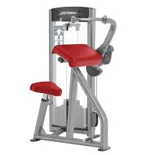 Life Fitness Optima Series Tricep Extension