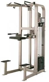 Life Fitness Pro 2 / Hammer Assisted Dip Chin