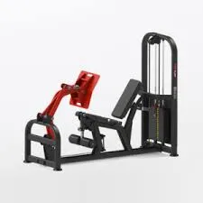 Maxpump Dual Leg Press/Leg Extension