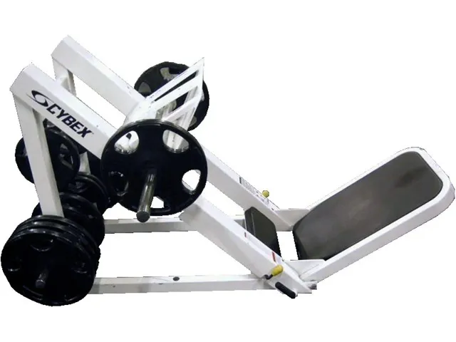 Cybex 45Leg Press